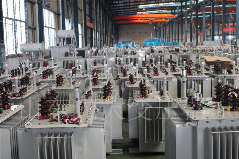 红山S22-800KVA/10KV